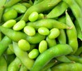 Green soybeans Royalty Free Stock Photo