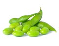 Green soybeans Royalty Free Stock Photo