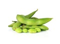 Green soybeans Royalty Free Stock Photo