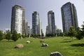 Green space with in the dowtown highrise condos Royalty Free Stock Photo