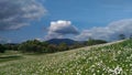 Clouds and mountain view with flowering meadow. Royalty Free Stock Photo
