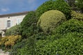 Green space planted with different varieties of shrubs pruned into balls Royalty Free Stock Photo