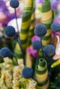 Green spherical flowers, on a thin leg, farm holidays.