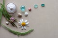 Green spikelets and plants, purple flowers, white with yellow daisy, colorful shells, glass and a jar of white cream Royalty Free Stock Photo