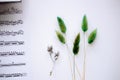 Green spikelets, silver plated twig, sheet with notes