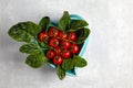 Green spinach leaves and red cherry tomatoes on a heart shaped blue plate on a light concrete table