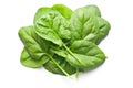 Green spinach leaves Royalty Free Stock Photo