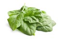 Green spinach leaves Royalty Free Stock Photo