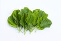 Green spinach on white background Royalty Free Stock Photo