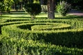 Green spiral cutting buches like a park design natural element Royalty Free Stock Photo