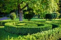 Green spiral cutting buches like a park design natural element Royalty Free Stock Photo