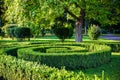 Green spiral cutting buches like a park design natural element Royalty Free Stock Photo