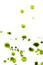 Green splattered Royalty Free Stock Photo