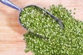 Green Split Peas in Scoop