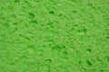 Green sponge Royalty Free Stock Photo