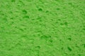 Green sponge Royalty Free Stock Photo