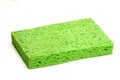 Green Sponge