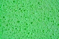 Green sponge with pores texture background for graphics. Close-up macro photo of household sponge tissue. Royalty Free Stock Photo
