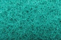 Green sponge texture background Royalty Free Stock Photo