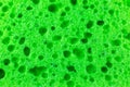 Green sponge texture background. Close up, macro photo Royalty Free Stock Photo