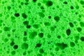 Green sponge texture background. Close up, macro photo Royalty Free Stock Photo