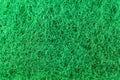 Green sponge texture background. Close up, macro photo Royalty Free Stock Photo