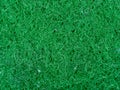Green sponge texture background Royalty Free Stock Photo