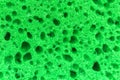 Green sponge texture background, high deatiled photo Royalty Free Stock Photo