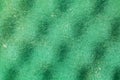 Green sponge textured background. Foam rubber background