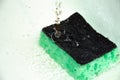 A green sponge for washing dishes lies on a white background and a stream of water pours onto it very close, macro. Spray hanging