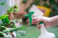 Green spray bottle being used to mist spray fertilizer, pesticide, water, anti fungal on home garden plants