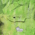 Green sprayed surface on an old flaky wall Royalty Free Stock Photo