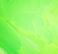 Green spring background, abstract picture