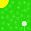 Green spring background with stylized dandelion and sun. Vector Royalty Free Stock Photo