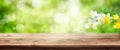 Green spring background with wooden table Royalty Free Stock Photo