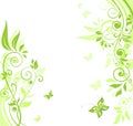 Green spring banner Royalty Free Stock Photo