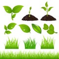 Green Spring Elements Set For Your. Vector