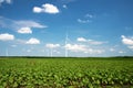 Green spring field with bean plants and wind turbines - the concept is renewable energy and environmental conservation Royalty Free Stock Photo