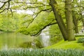 Green spring gardens in Keukenhof, Holland