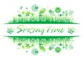 Green spring grass with flower and butterflies Isolated On White Background Royalty Free Stock Photo