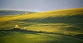 Green spring hills of Slovakia. May sunny countryside