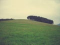 Green spring landscape in the countryside on a cloudy day; retro style