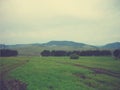 Green spring landscape in the countryside on a cloudy day; retro style