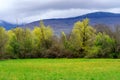 Green spring landscape with green meadows and yellow wildflowers in a valley between mountains