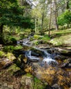 Green spring landscape with stream of water falling between the rocks in an idyllic setting. Navacerrada Madrid