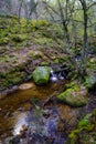 Green spring landscape with stream of water falling between the rocks in an idyllic setting. Navacerrada Madrid