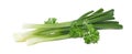 Green spring onion parsley horizontal isolated Royalty Free Stock Photo