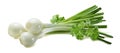 Green spring onion scallion parsley 2 isolated on white background Royalty Free Stock Photo