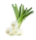 Green spring onion square composition isolated Royalty Free Stock Photo