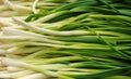 Green spring onions Royalty Free Stock Photo